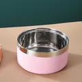 High-capacity pink stainless steel pet bowl with durable double-wall design for dogs - Thickened Double Layer Style / 14cm / Pink