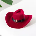 Burgundy pet cowboy hat with black ribbon and gold star for cats or dogs. - S / Red