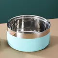 Large capacity double-layer stainless steel dog bowl with light blue matte exterior - Thickened Double Layer Style / 14cm / Mint Green