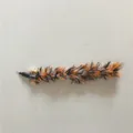 Bunter Feder-Ersatzkopf für Katzenangel-Zubehör mit einem kleinen integrierten Glöckchen - Oranger Federketten-Stil / Orange
