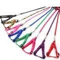 Adjustable colorful bone print pet harness and leash set for small dogs and cats - Small (1.0*120cm) / Printed Leash (Assorted Colors)