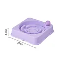 Functional purple square dog slow feeder bowl with maze design 20cm x 4.5cm size - Record Player Slow Feeder Bowl / Purple