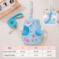 Light blue plaid pet harness with angel wings and leash set for small dogs or cats - S / Angel Wings Blue