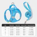 Sky blue reflective vest harness and leash set for small to large dogs and cats - XXS / Lake Blue