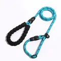 Sky blue reflective slip lead dog leash with anti-pull foam handle for training - Sky Blue