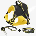 Detailed view of reflective black and yellow vest-style dog harness, leash, and collar set - S / Yellow