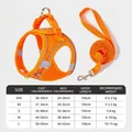 Breathable orange pet mesh harness and leash set with detailed size guide table - XXS / Orange