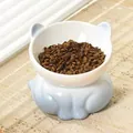 Schuine keramische kattenbak met blauw verloop voor nekbescherming en comfort - Schuine Keramische Bak / 13cm / Gradiënt Blauw-Wit