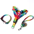 Rainbow gradient dog harness, collar, and leash set for small to medium dogs - S / Rainbow Reflective 3-Piece Set