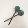 Two natural catnip silvervine lollipop chewing sticks for feline dental health - Catnip Lollipop
