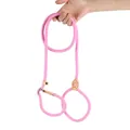 Heavy-duty durable pink nylon P-chain slip lead dog leash for medium and large dog training - 6mm*150cm / Pink