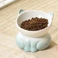 Ergonomische schuine voerbak van keramiek voor katten met oortjes en blauw kleurverloop - Schuine Keramische Bak / 13cm / Gradiënt Groen-Wit