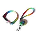 Rainbow gradient nylon pet leash and collar set for small and medium dogs with metal hook - S / Rainbow Reflective Collar Set