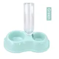 Modern mint green automatic pet waterer with double bowl design and 500ml transparent bottle - Blue / Bulk Packaging