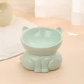 Muntgroene keramische kattenbak met schuin ontwerp voor nekbescherming - Schuine Keramische Bak / 13cm / Muntgroen