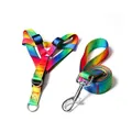 Vibrant rainbow gradient dog harness and leash set featuring heavy-duty metal hardware - S / Rainbow Reflective Harness Set