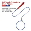 Blue braided dog slip lead for training with 6mm thickness and red handle - 120cm (6mm) / Red and Blue