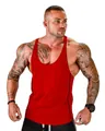 Close-up of red quick-dry sports tank top on a muscular model for fitness training - M / Tops / Red