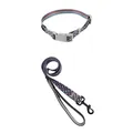 Hundehalsband und Leinen-Set mit bunten Punkten und Streifen auf dunkelblauem Grund - Halsband und Leinen Set / 1.5*120 / Lila gepunktet