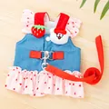 Detail of a cute denim pet harness dress with heart print skirt and plush decor - 2XL / With Leash / Light Denim Pink Heart