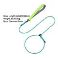 Professional slip lead dog leash with fluorescent green handle and cyan braided rope - Teal