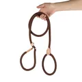 Hand holding a durable brown braided nylon slip lead dog leash with leather detail. - Coffee
