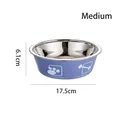 Medium size blue double-layer stainless steel pet bowl for dogs and cats 17.5cm diameter - M / Blue