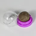 Detail view of natural catnip ball with purple base and transparent cover - Purple