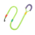Robuste leuchtend grüne Hundeleine mit lila Schaumstoffgriff und Anti-Schock-Funktion - Fluoreszierendes Grün Leine / 10mm*140cm
