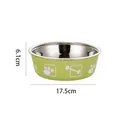 Medium size green stainless steel pet bowl featuring bone patterns and size measurements - M / Green