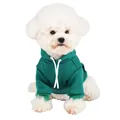 Warm dark green hooded pet sweatshirt for small dogs with soft fleece lining for winter - S / Green