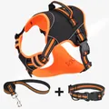 Complete pet dog harness set with reflective leash and collar in orange and black - S / Orange