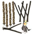 Complete set natuurlijke houten vogelzitstokken met Y-takken en getextureerde stokken - Set van 8