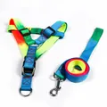 Rainbow gradient pet harness and leash set with durable nylon straps and metal clips - Harness Set / 1.5cm x 120cm / Rainbow