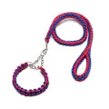 Durable red and blue eight-strand braided nylon dog collar and leash set for training. - Leash + Collar Set / XL / Blue/Red