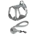 Adjustable grey breathable mesh dog harness vest with matching leash for small pets - S / Harness Set / Gray