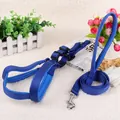 Durable blue dog harness and leash set for medium and large breed dogs outdoor walking. - 1.5cm wide / Blue