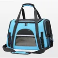Light blue foldable portable pet carrier bag for cats and small dogs, mesh windows - Plush Mat Style / Light Blue