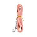 Durable pink woven pet traction leash with a strong silver metal clasp for small dogs - Leash Only (1.5M) / One Size / Peach Pink