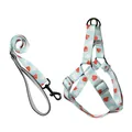 Arnés y correa para perro azul claro ajustable con patrones de cartas de póker - Juego de Arnés / 1.5cm*120cm / Patrones de Póquer