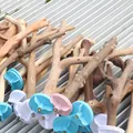 Natural wood bird perch variant with colorful plastic mounts for cages. - Prickly Ash Wood Perch / 20CM (Random Color Washer)
