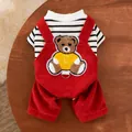 Detailed macro view of a red corduroy dog jumpsuit with a cute teddy bear patch. - S / Red