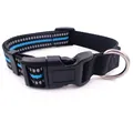 Close-up detail of a reflective black nylon dog collar with plastic buckle and ring - M / Pet Collar / Blue