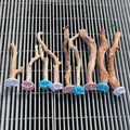 Natural wood bird perches with colorful screw-on mounts for various parrot cage setups - Peeled Wood Perch / 20CM (Random Color Washer)