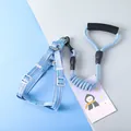 Blue Morandi dog harness and leash set featuring a comfortable foam padded handle - XS (1.0cm) / Blue