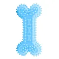 Durable light blue TPR spiked bone dog toy for puppy teething and dental cleaning - S / Hollow Thorn Bone / 6cm x 12cm / Macaron Blue