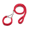 Ensemble laisse et collier pour chien en nylon tressé rouge avec chaîne en métal robuste. - Rouge