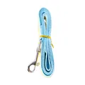 Hellblaue Hundeleine aus Nylon mit Metallkarabiner für kleine und mittlere Haustiere. - Nur Leine (1.5M) / Einheitsgröße / Himmelblau