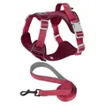 Detail view of pink reflective dog harness and leash set with breathable mesh lining - S / Harness and Leash Set / Red