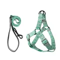 Conjunto de arnés y correa para perro verde con diseño de remolino blanco impreso - Juego de Arnés / 1.5cm*120cm / Nube de la Suerte Verde Hierba